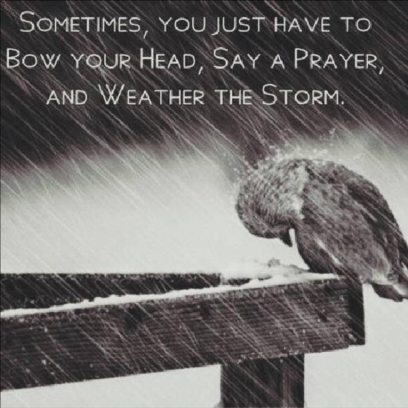 COMMENTS FULL like new listing - Picture 12 of 16